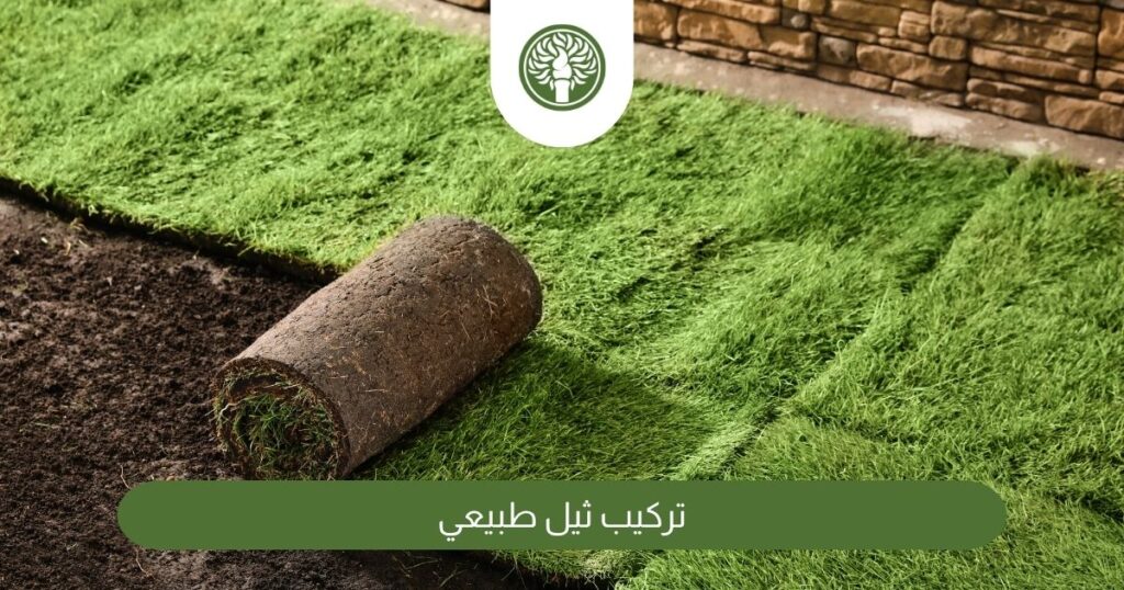 تركيب ثيل طبيعي فنان بساتين