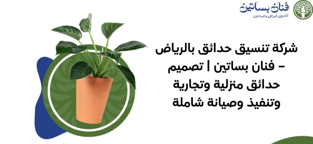 شركة تنسيق حدائق بالرياض – فنان بساتين تصميم حدائق منزلية وتجارية وتنفيذ وصيانة شاملة