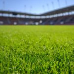 شركات تجهيز الملاعب بالسعودية