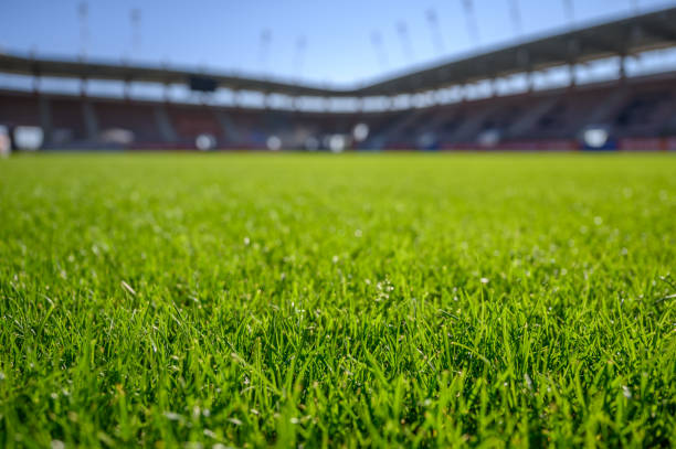 شركات تجهيز الملاعب بالسعودية