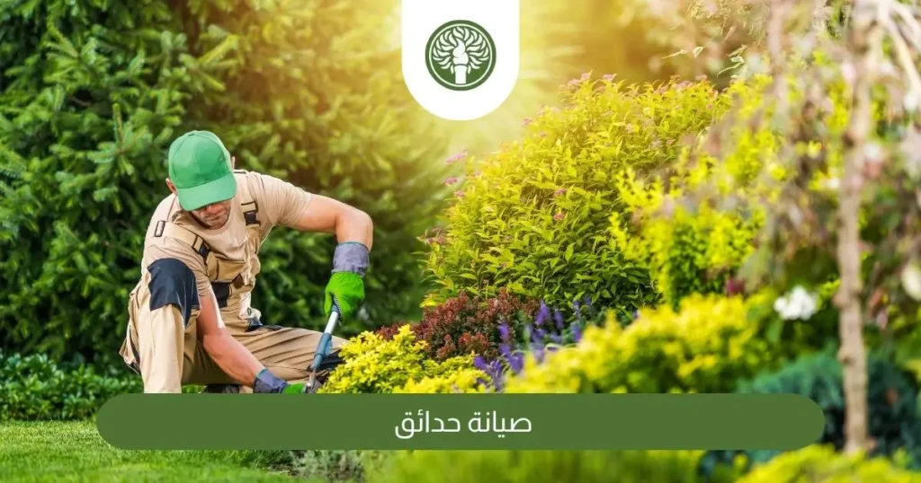 صيانة حدائق