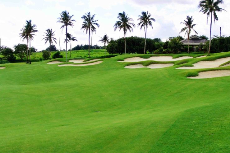 ثيل طبيعي C2000 في السعودية 1